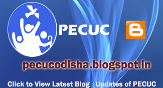 Pecuc Blog spot